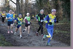 Begles 15.12.13 01 024 * 679 x 453 * (182KB)